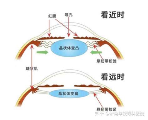 勢力眼意思